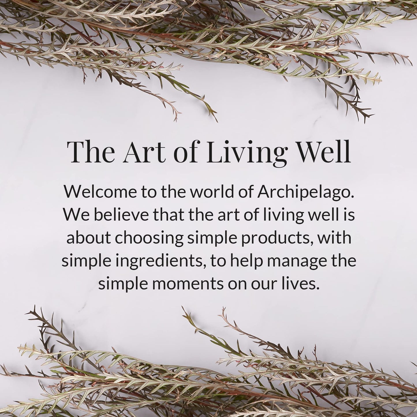 Archipelago Botanicals Havana Glass Jar Candle, Bergamot, Tobacco Flower and Ylang Ylang Scent, Lead-Free Candle Wicks, Burns Approx. 60 Hours (8.6 oz)