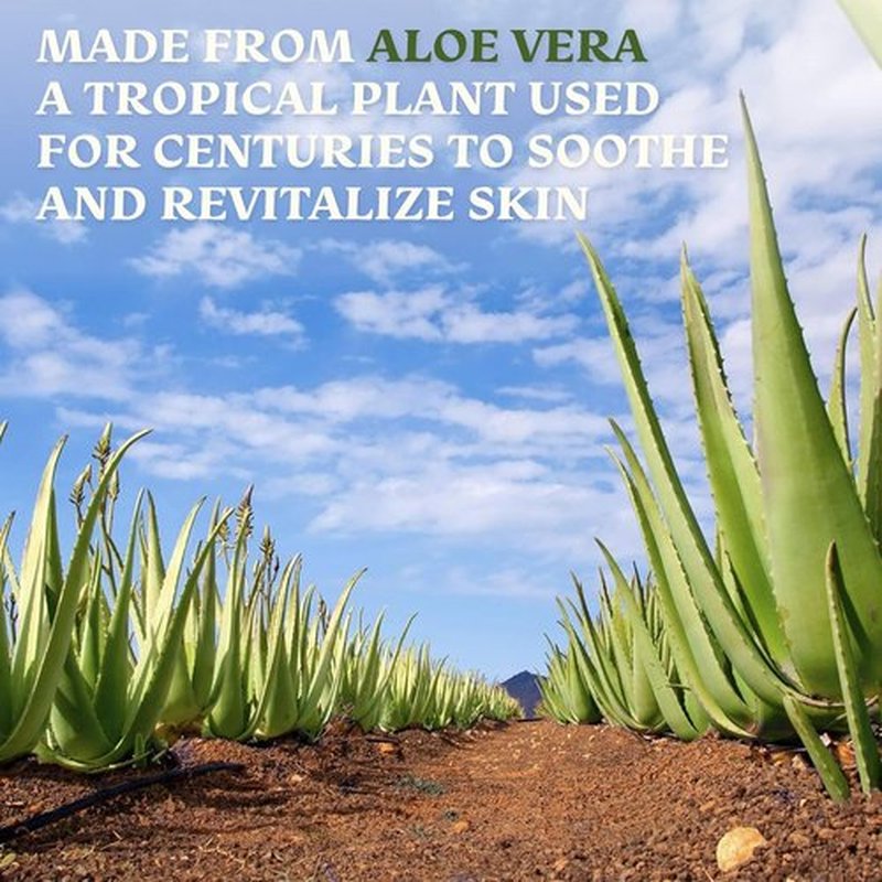 Aloe Vera Gel for Skin Care | Farm Harvested Freshly Cut Aloe Plant | Thin Formula for Skin, Face, Hair, Daily Moisturizer, Aftershave Lotion, Sunburn Relief, Burn Care - 2-Pack (two 8 oz bottles)