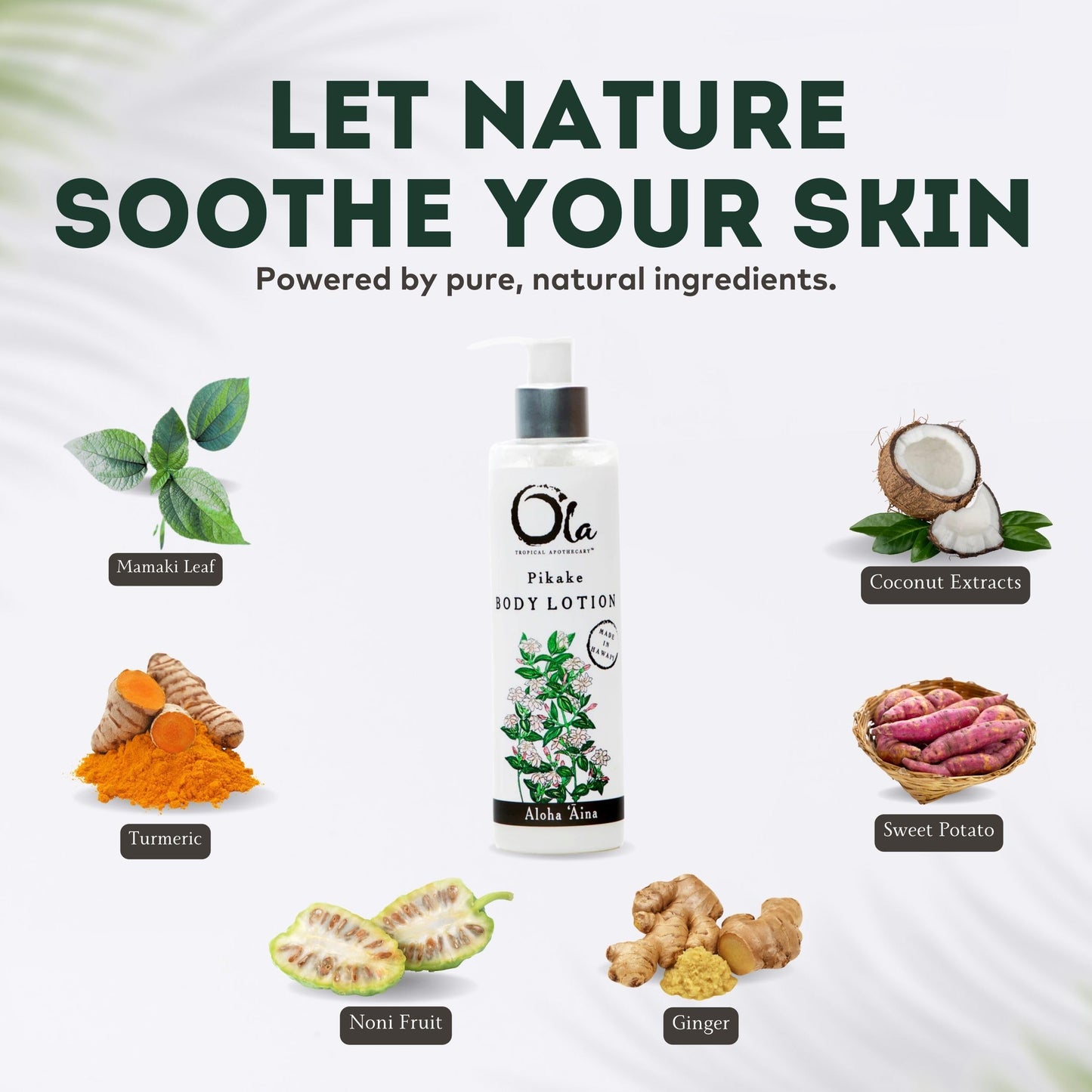 Tropical Apothecary Ola Pikake Body Lotion with Pure Tropical Oils and Plant Extracts - 8.45 Fl Oz