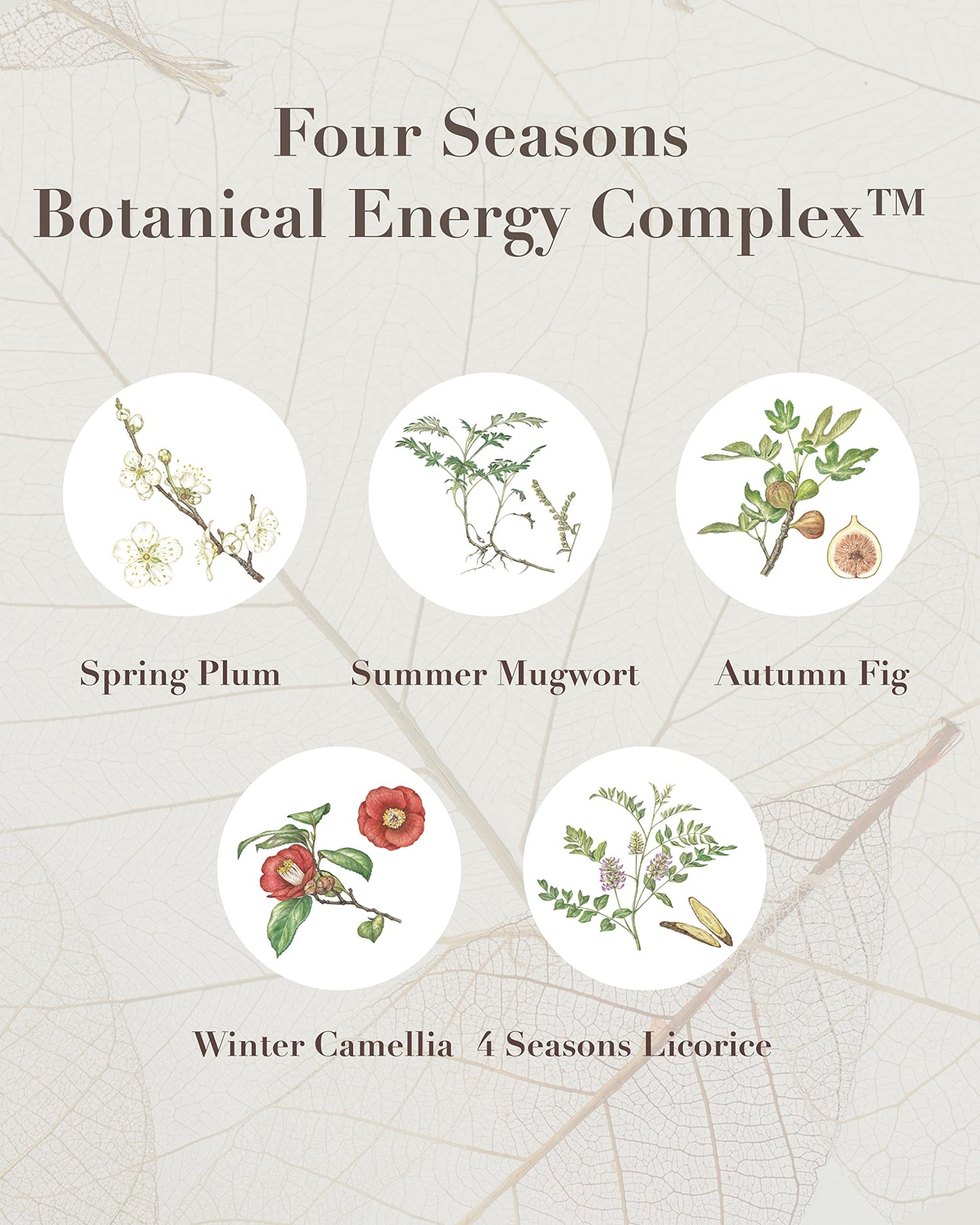 Sooryehan THE SAGA OF SOO Botanical Energy Balancing Moisturizer (120 ml / 4 Fl Oz) - Hypoallergenic Korean Skincare Lotion by LG BEAUTY. Sensitive Skin.
