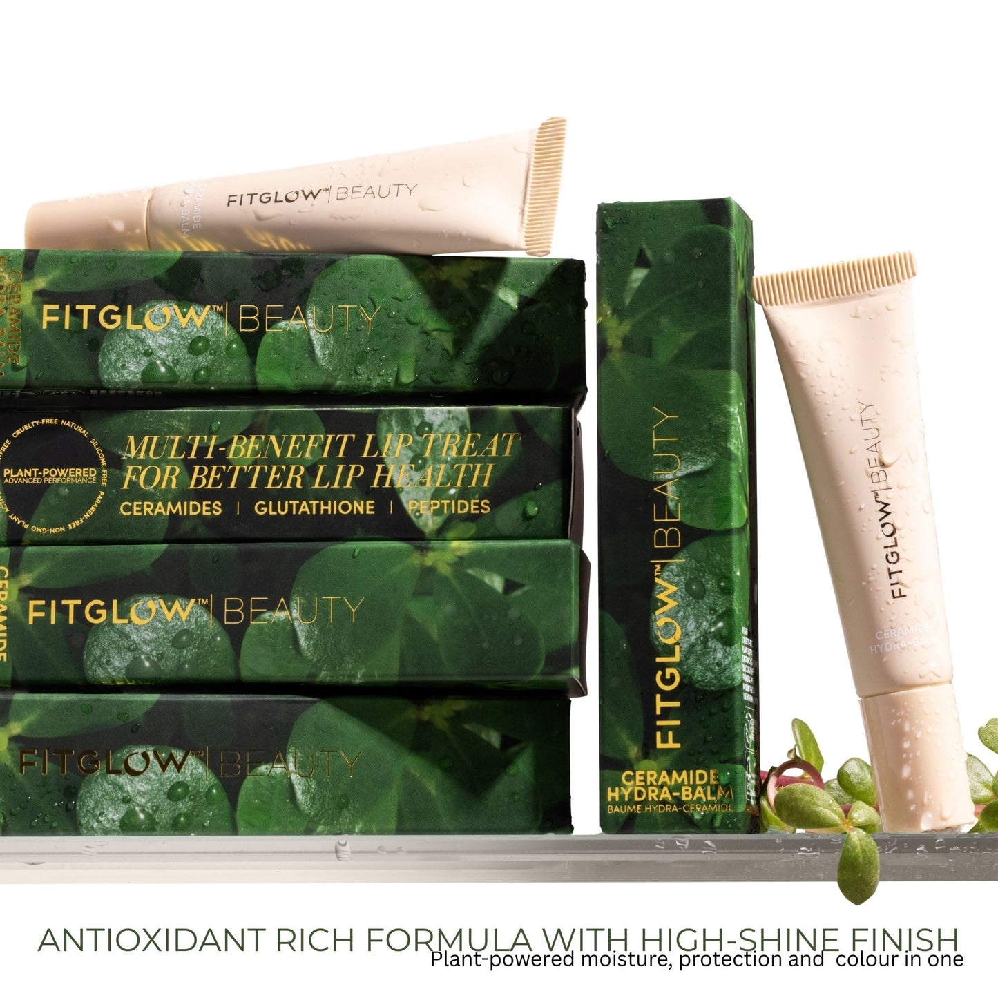 Fitglow Beauty Ceramide Hydra-Balm Lip Gloss, 24Hour, 12g