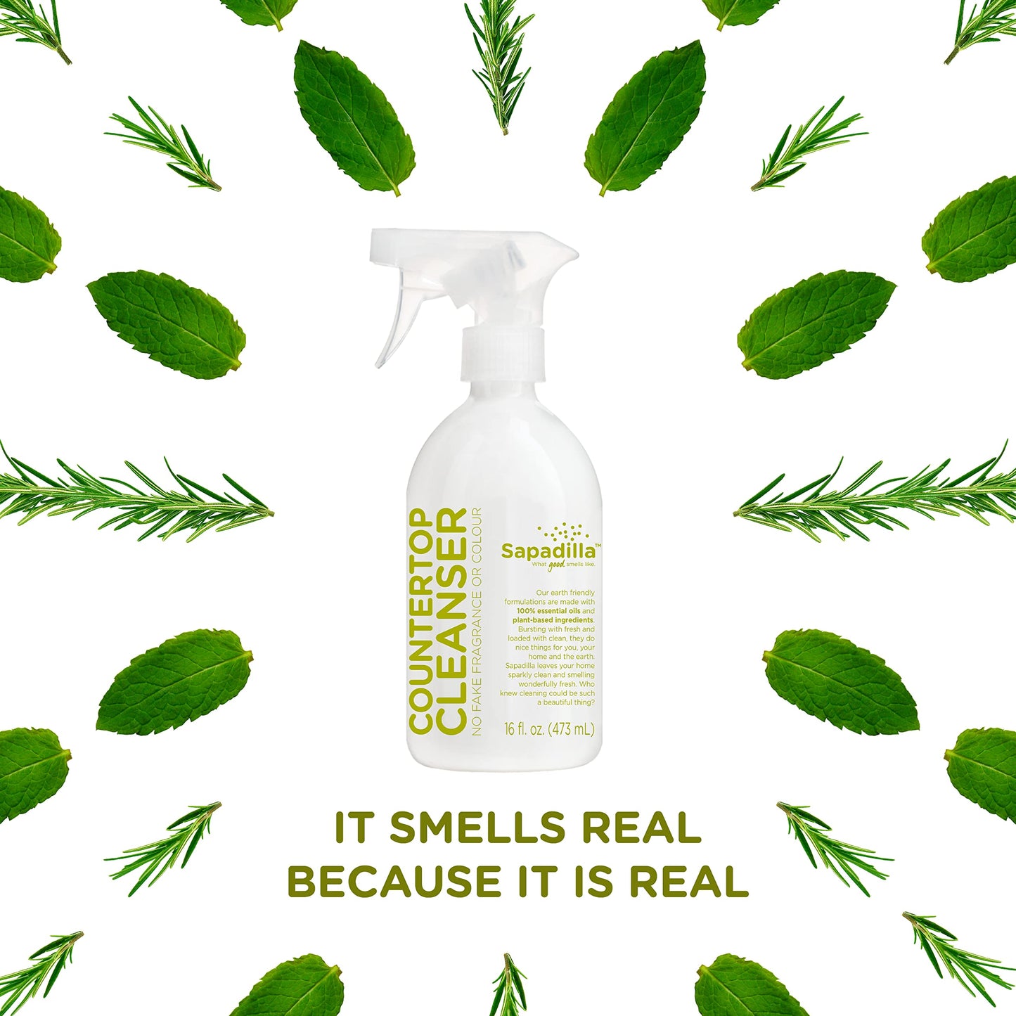 Sapadilla Multi-Surface Countertop Spray - Rosemary + Peppermint - Made with 100% Pure Essential Oil Blends, Multi-Purpose Household Cleaner, Aromatic, Plant Based, Biodegradable, 16 Ounce (Pack of 1)