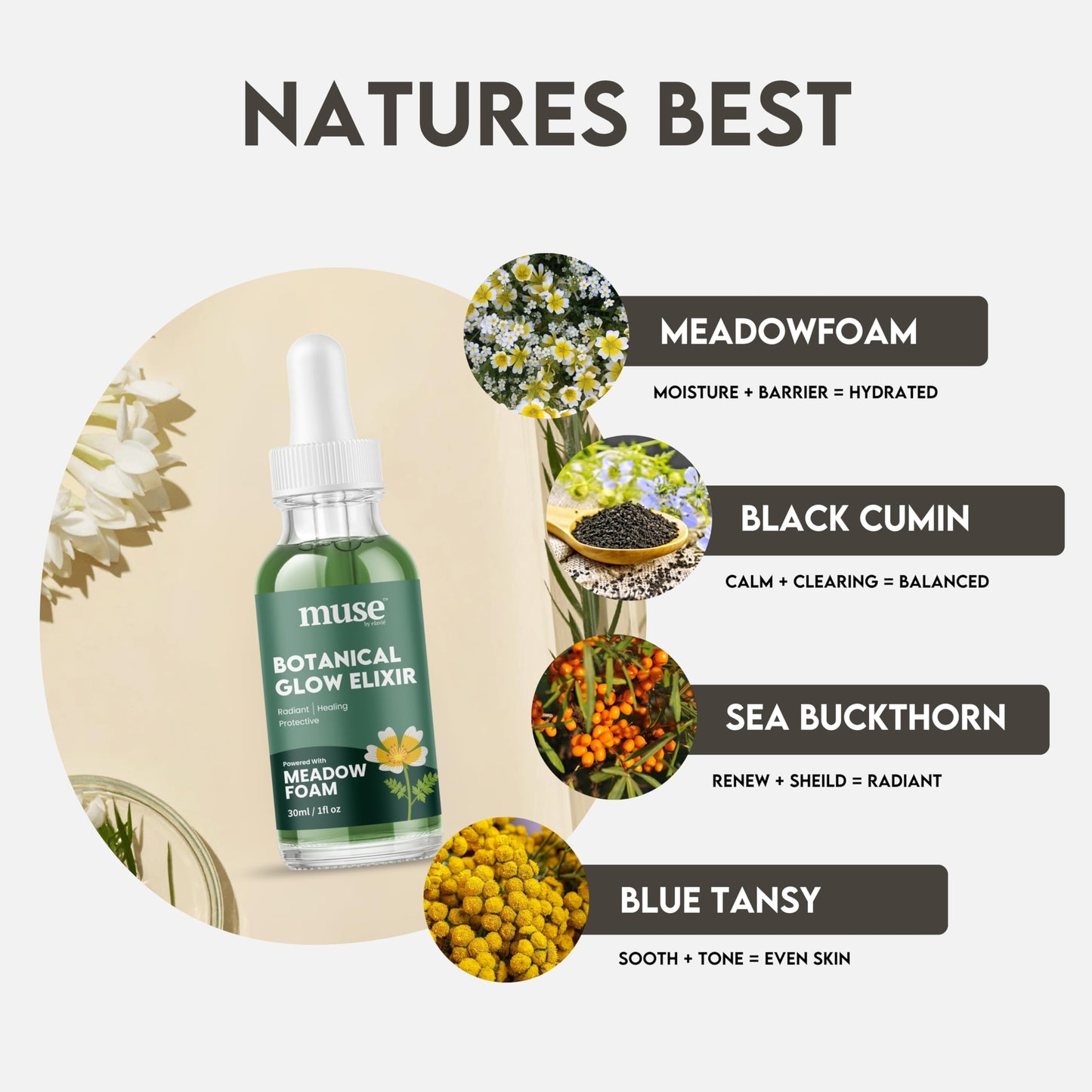 Muse by Elavie's - Botanical Glow Elixir, Anti-Aging Face Oil Serum with Meadowfoam, Black Cumin, Sea Buckthorn & Blue Tansy – Hydrating, Soothing & Restorative Skin Care – 1 oz