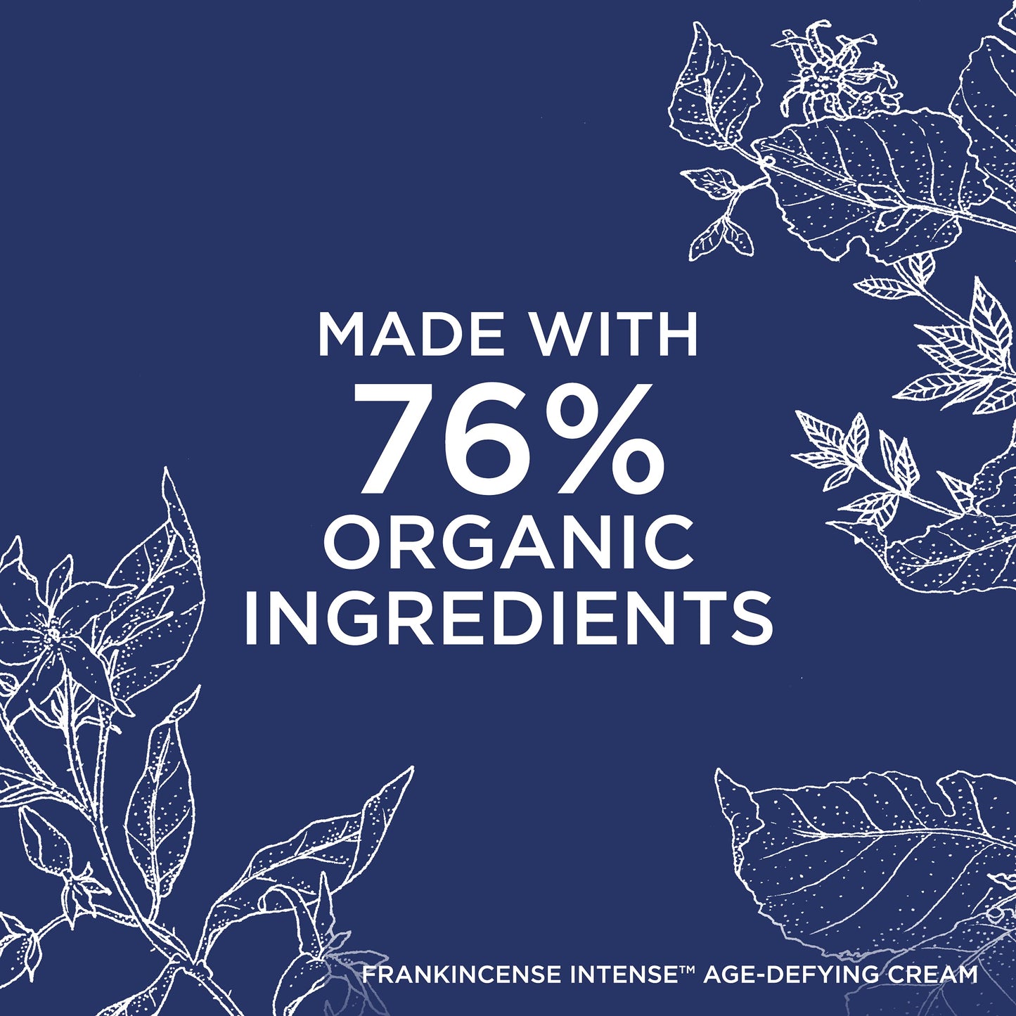 Neal's Yard Frankincense Intense Age Defying Cream with Carnauba Wax, Smoothes & Plumps Fine Lines & Wrinkles, Cruelty-Free, 50g