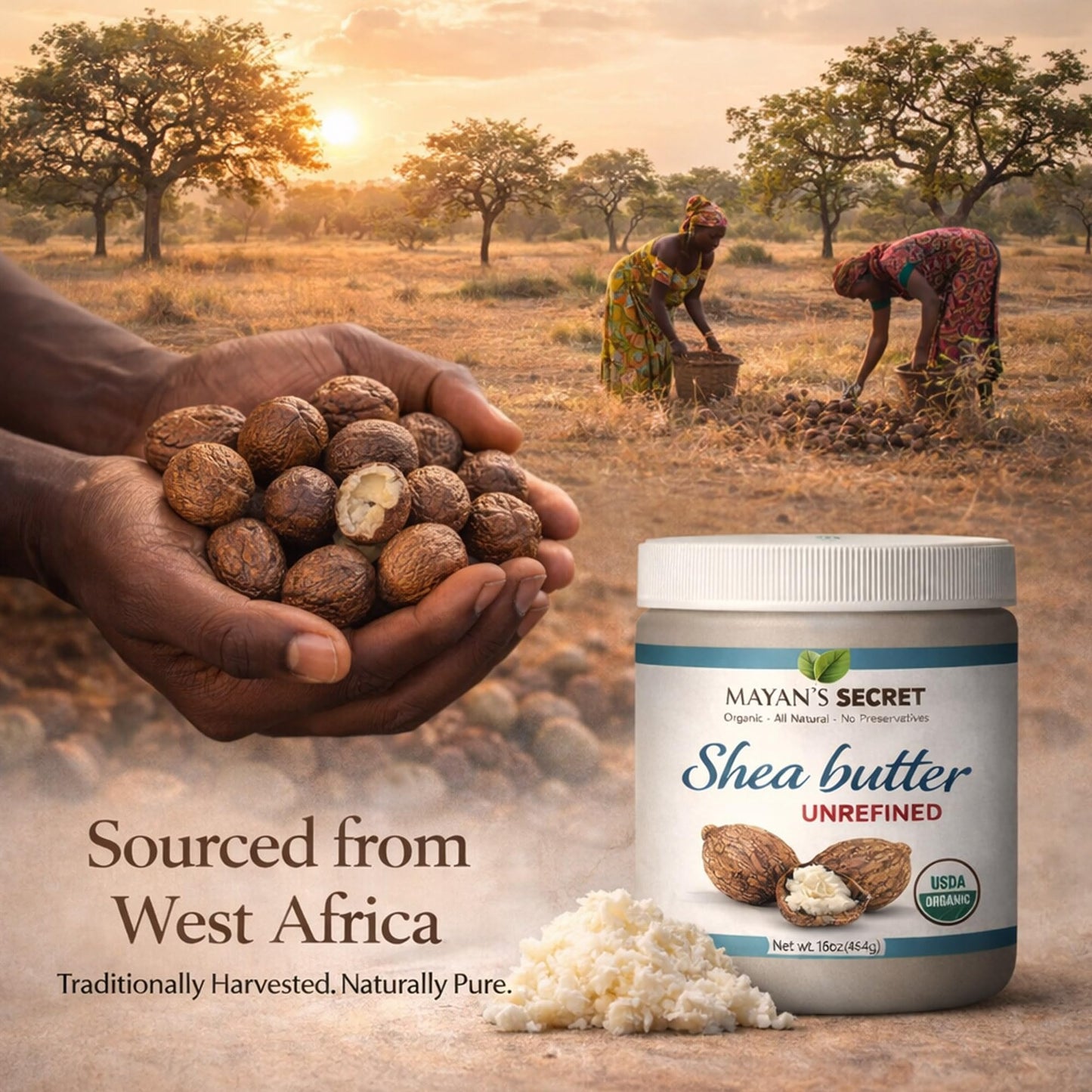 Mayan's Secret Organic Shea Butter USDA Certified, Raw, Unrefined, Ivory from Ghana Africa, Amazing for Skin Elasticity, Stretch Marks and body