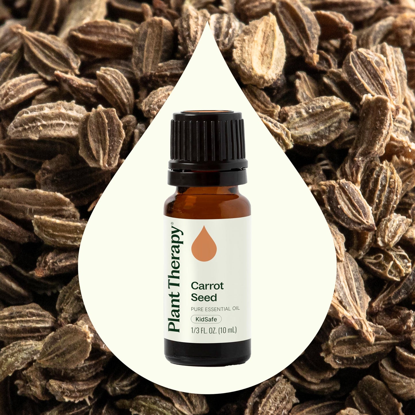 Plant Therapy Carrot Seed Essential Oil 10 mL (1/3 oz), 100% Pure, Undiluted, Natural Aromatherapy, Natural Skin Care, Digestive Support