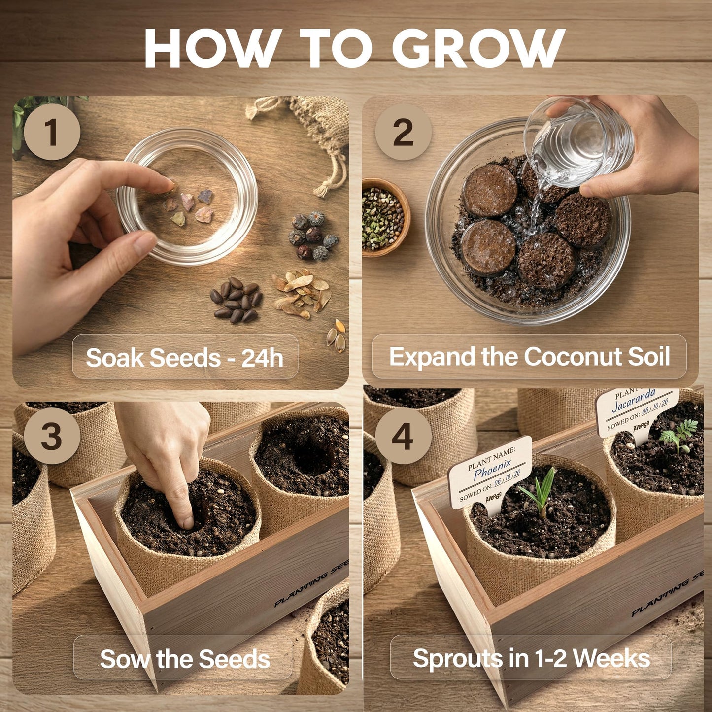 AVERGO Bonsai Tree Kit Deluxe - 5X Unique Japanese Bonzai Trees | Complete Indoor Bonsai Starter Kits for Growing Trees – DIY Gardening Gifts for Mother, Women & Men