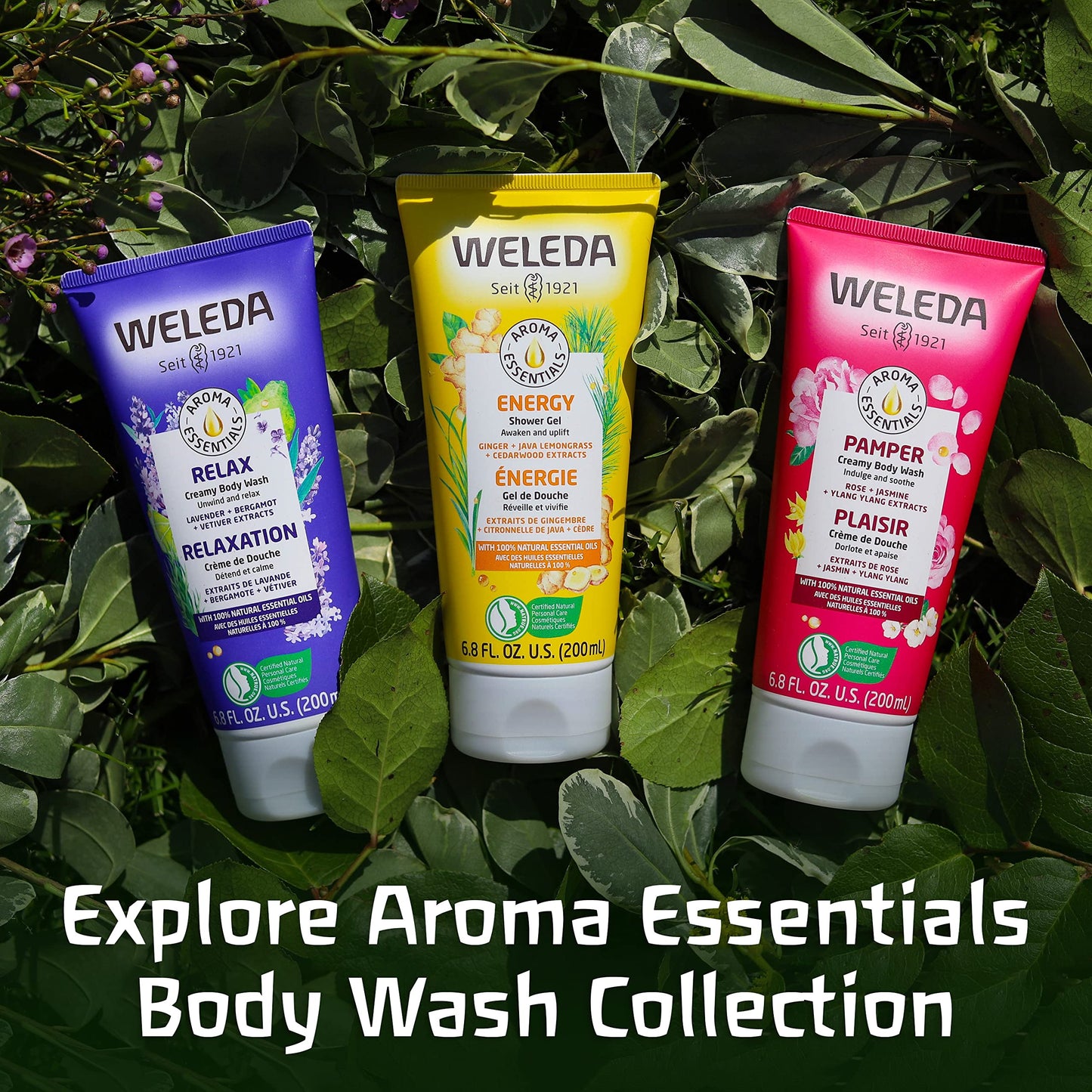 Weleda Aroma Essentials Relax Creamy Body Wash, Parabens Free, 6.8 Fluid Ounce (Pack of 2)