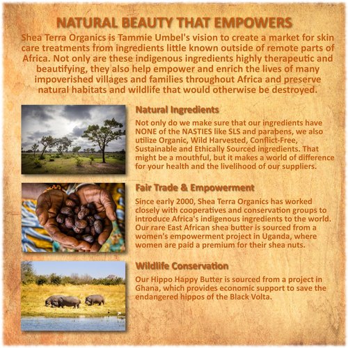 Shea Terra Organics Shea Nilotik’ Oil Fragrance Free For Sensitive Skin |Natural Skin Daily Moisturizer - 8 oz