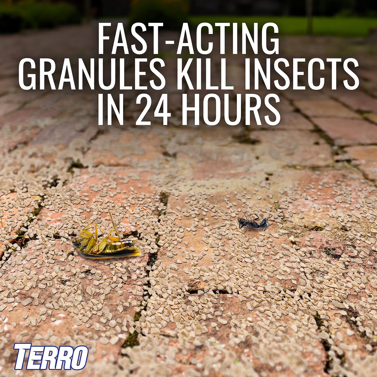 TERRO T901-6 Ant Killer Plus Multi-Purpose Insect Control for Outdoors - Kills Fire Ants, Fleas, Cockroaches, and Other Crawling Insects - 3lb (Pack of 2)