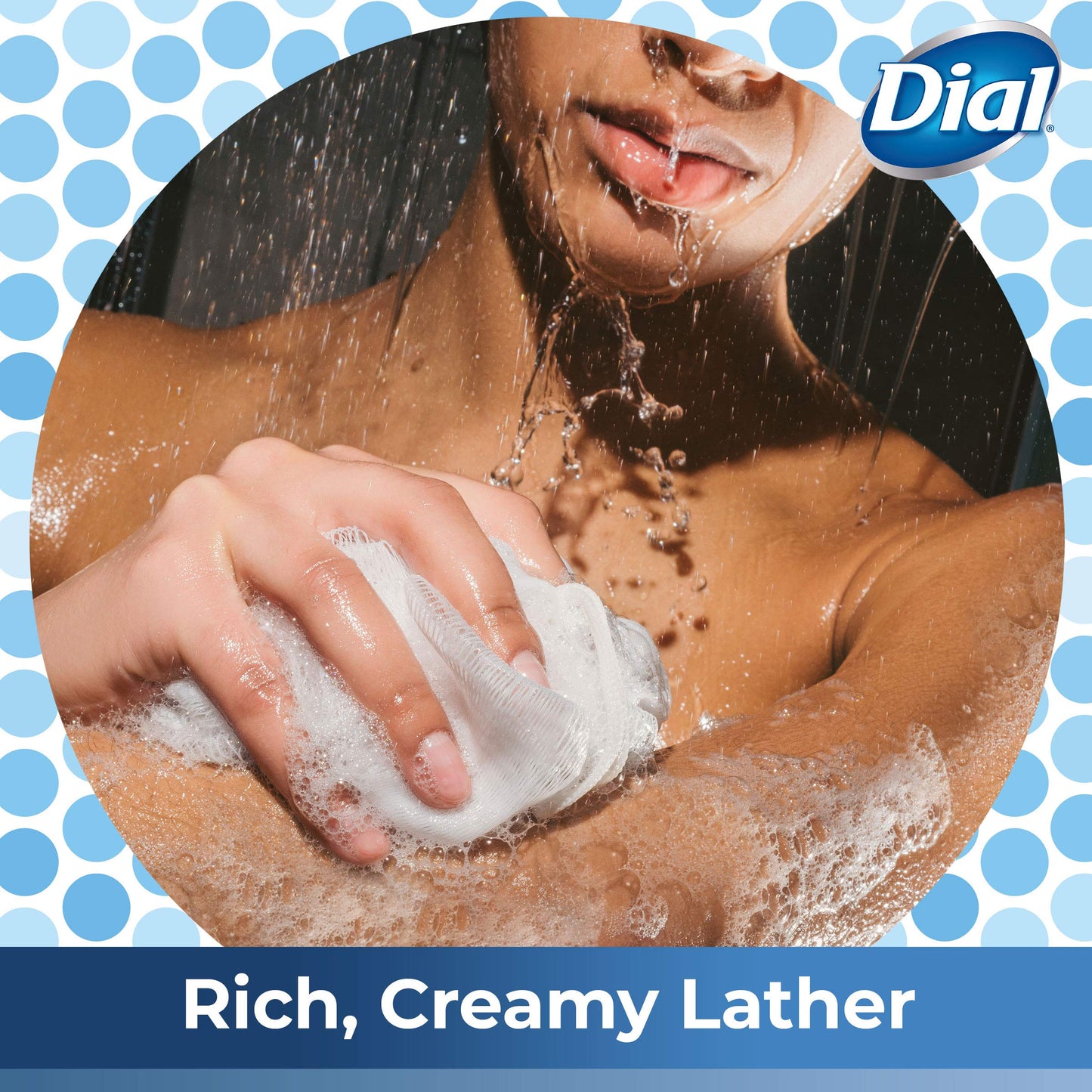 Dial Body Wash, Sea Minerals, 16 Ounce