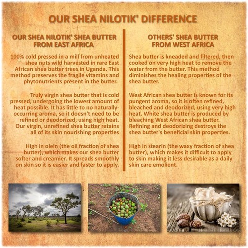 Shea Terra Organics Shea Nilotik’ Oil Scented With Coconut Lemongrass | Natural Daily Skin Moisturizer & Conditioner - 8 oz