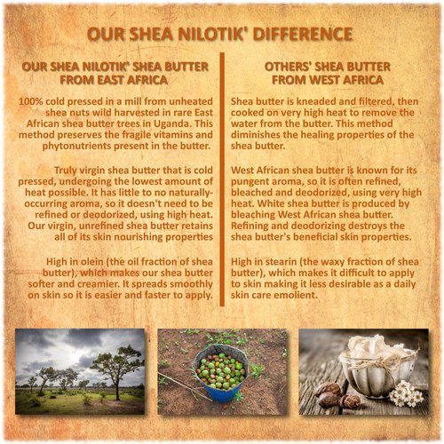 Shea Terra Organics Shea Nilotik’ Oil Fragrance Free For Sensitive Skin |Natural Skin Daily Moisturizer - 8 oz
