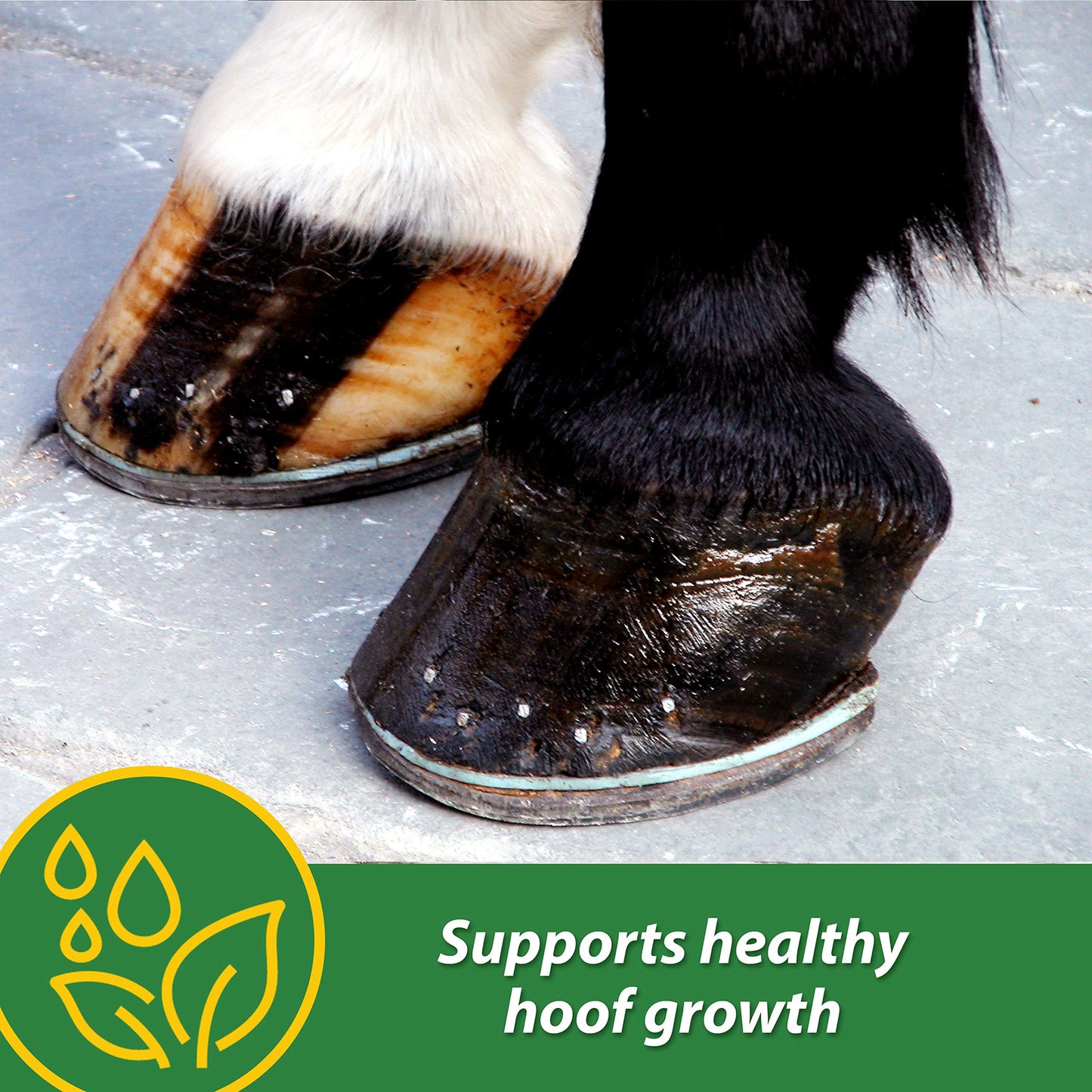 Farnam HB 15 Hoof Supplement, Supports healthy hoof growth 7 pound, 112 Day Supply