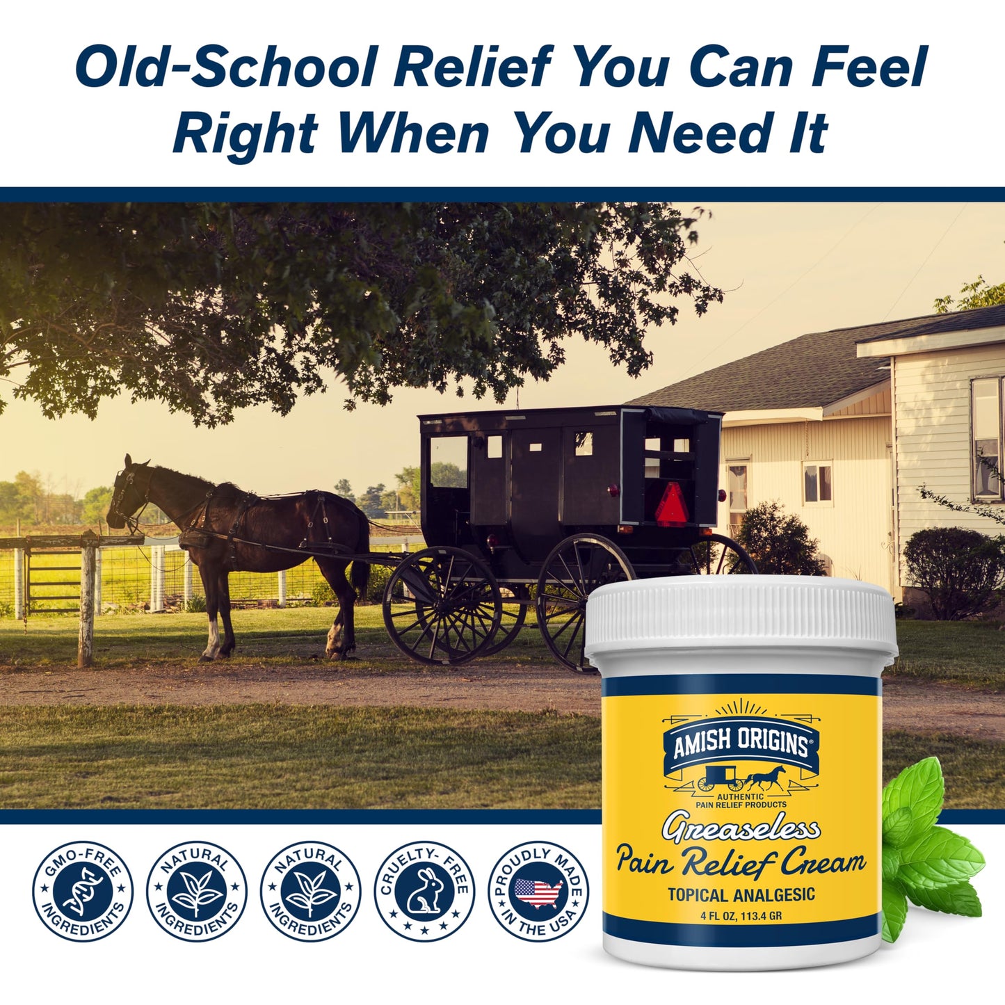 Amish Origins Arthritis Pain Relief Cream - 4 oz - Maximum Strength Deep Penetrating for Joint, Muscle, Knee, Back, Feet, Hand, Ankle, Aches, 1 Pack