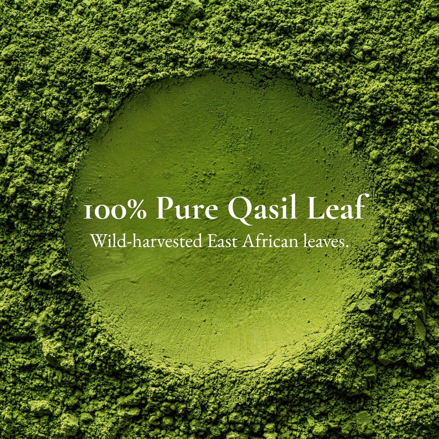 SAAFI AH ORGANICS Qasil Powder Natural Leaf Soap & Hair Cleanser | Sidr Gentle Brightening & Exfoliating Face, Body & Shampoo Wash | Clarifying for Pores & Blemish-Prone Skin | 5 oz (Large)