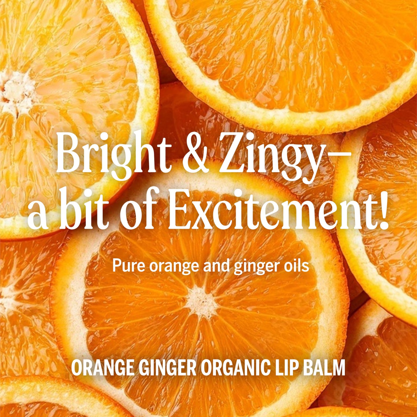 Dr. Bronner’s Organic Lip Balm 6-Pack (.15oz) Natural, Moisturizing, Petroleum-Free Lip Balm with Beeswax & Avocado Oil for Dry Lips, Men & Women - Orange Ginger