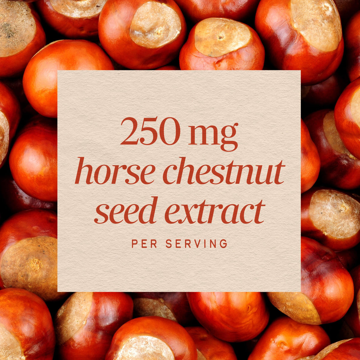 Nature's Way Horse Chestnut Extract, Supports Healthy Leg Veins*, 90 ct