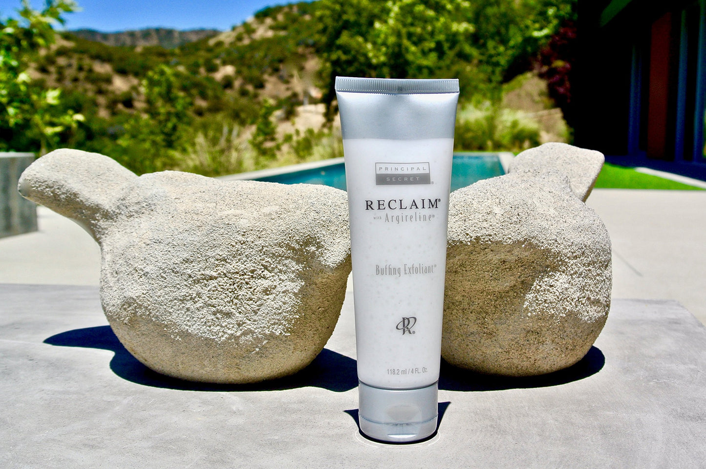 Principal Secret – Reclaim with Argireline – Buffing Exfoliant – 4 Ounces