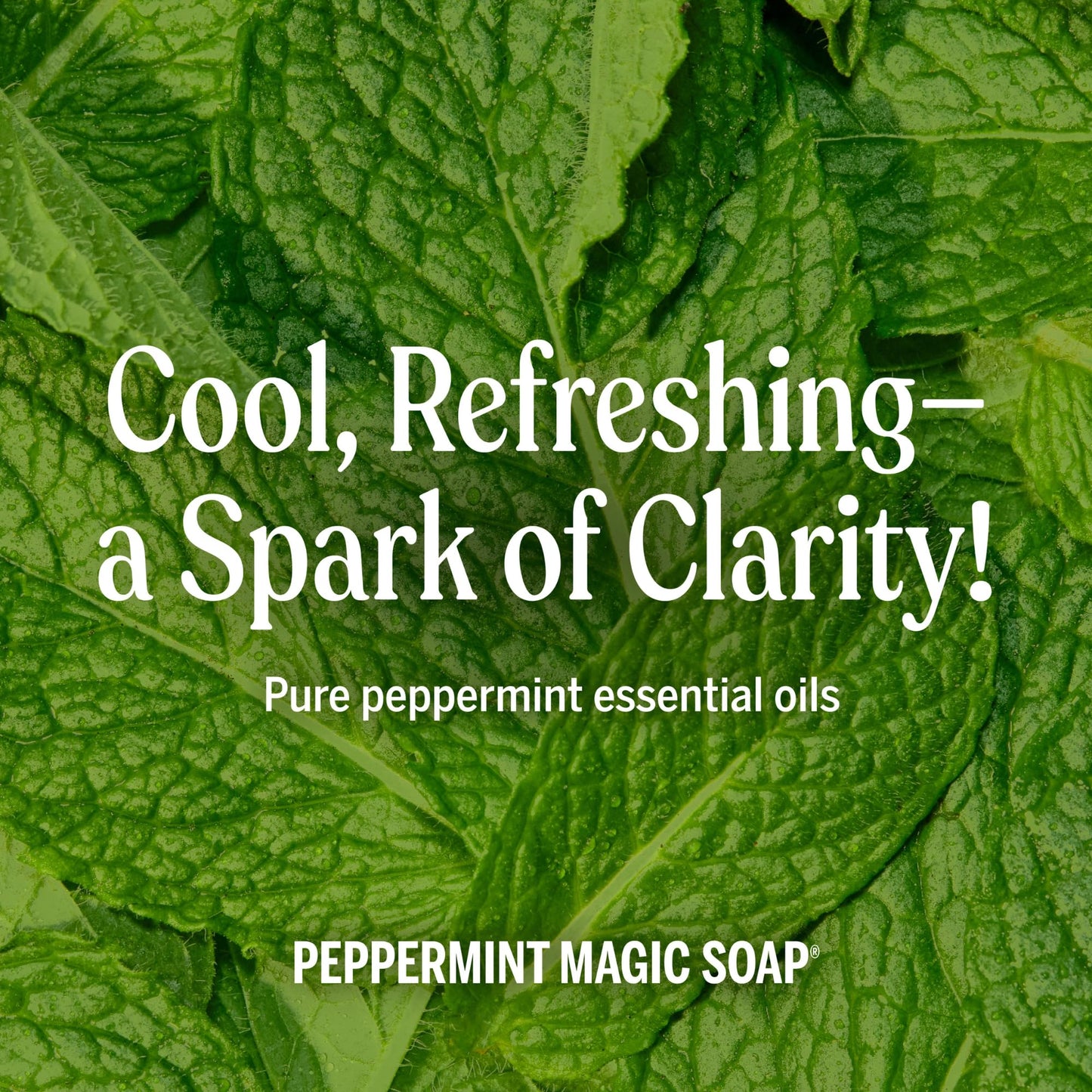 Dr. Bronner's - Pure-Castile Liquid Soap (Peppermint, 16 ounce) - Made with Organic Oils, 18-in-1 Uses: Face, Body, Hair, Laundry, Pets and Dishes, Concentrated, Vegan, Non-GMO