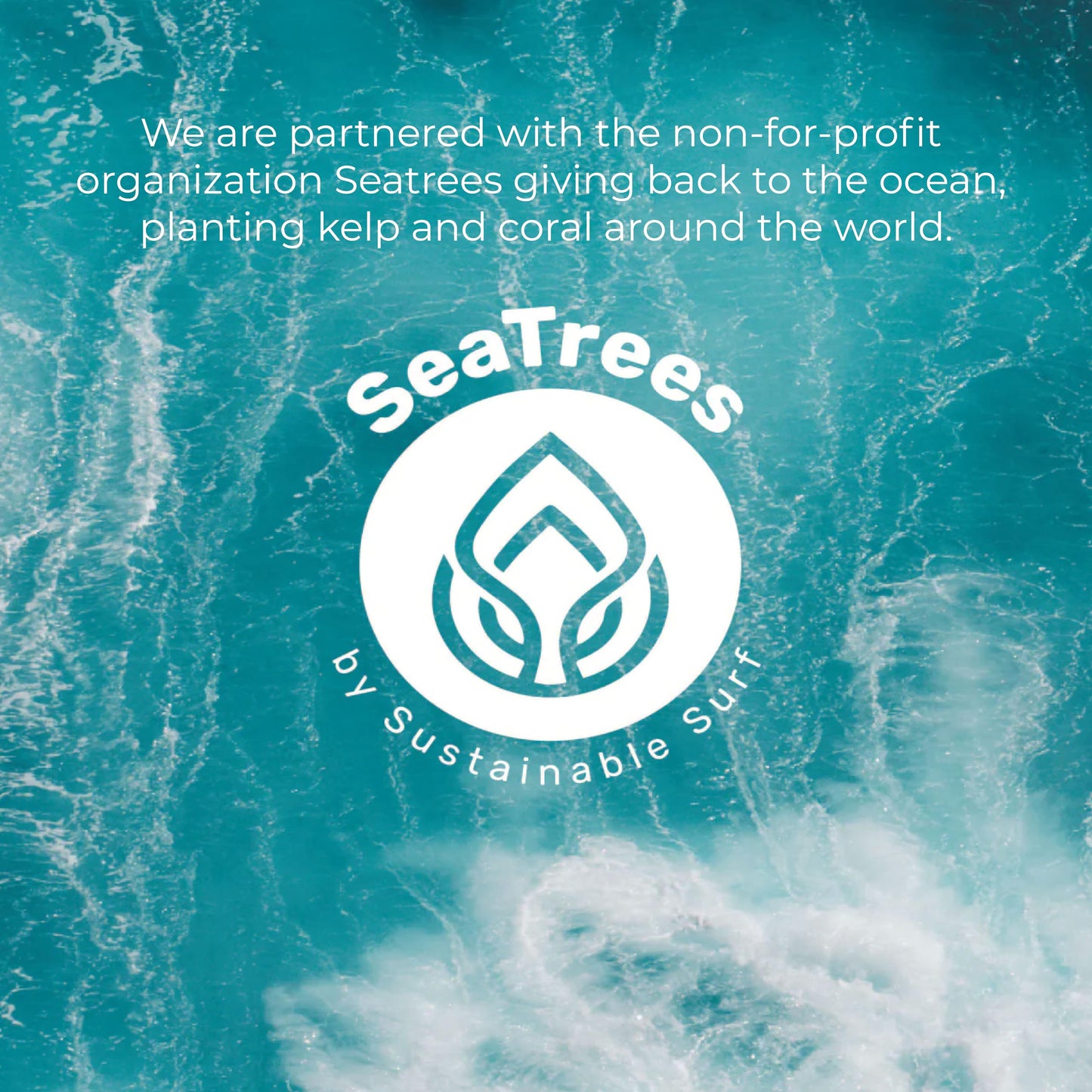 Sea-El Miracle Sea Kelp Eye Cream Hydrating & Correcting Yerba Mate Caffeine & Hyaluronic Acid for Dark Circles Bags & Puffiness - Daily Anti Aging Moisturizer for Women & Men, Vegan - 1 Oz