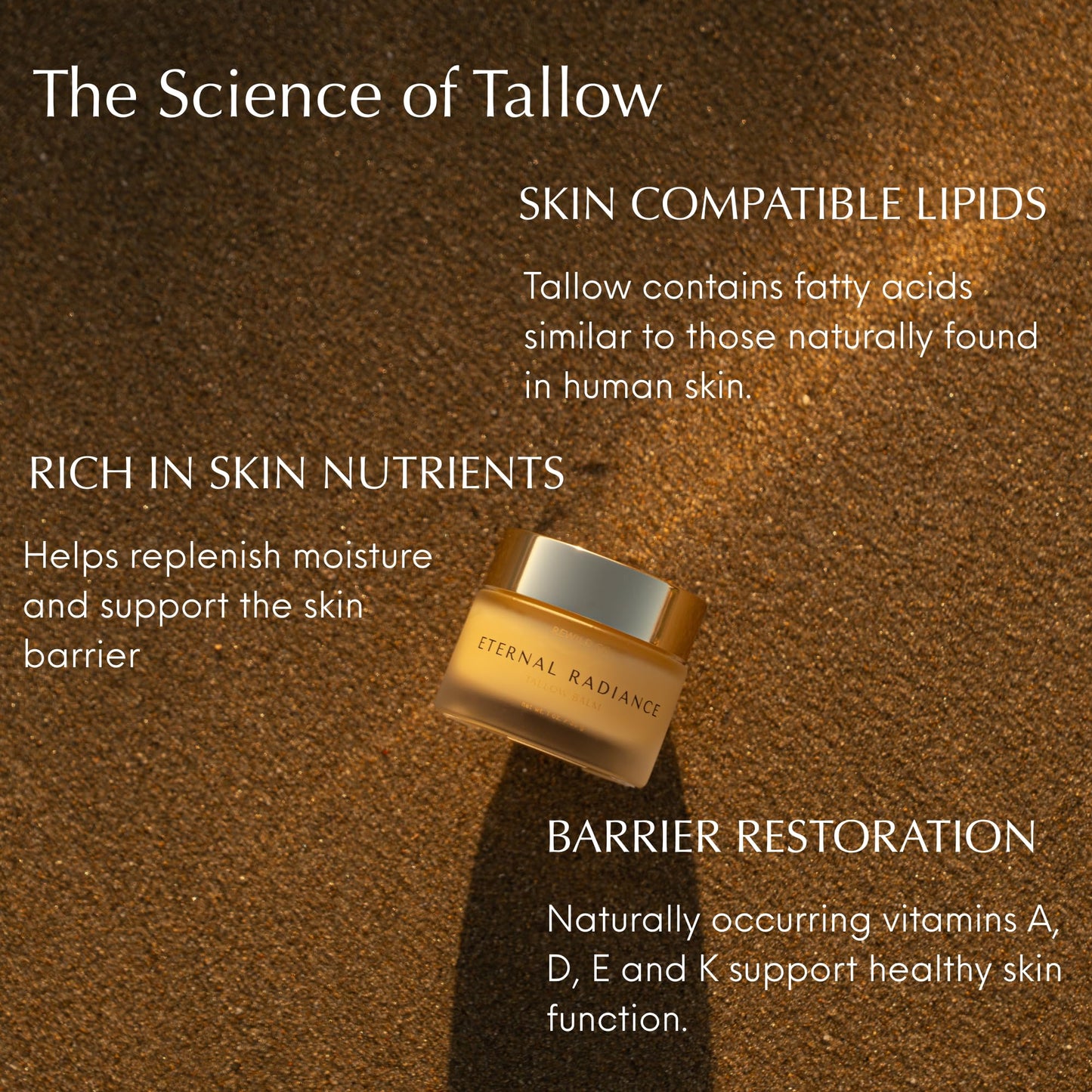 Rewild Co. Grass-Fed Tallow Night Cream with Bakuchiol – Natural Retinol Alternative Face Moisturizer & Anti-Aging Balm, Hydrating Skin Barrier Cream for Mature Sensitive Skin Eternal Radiance