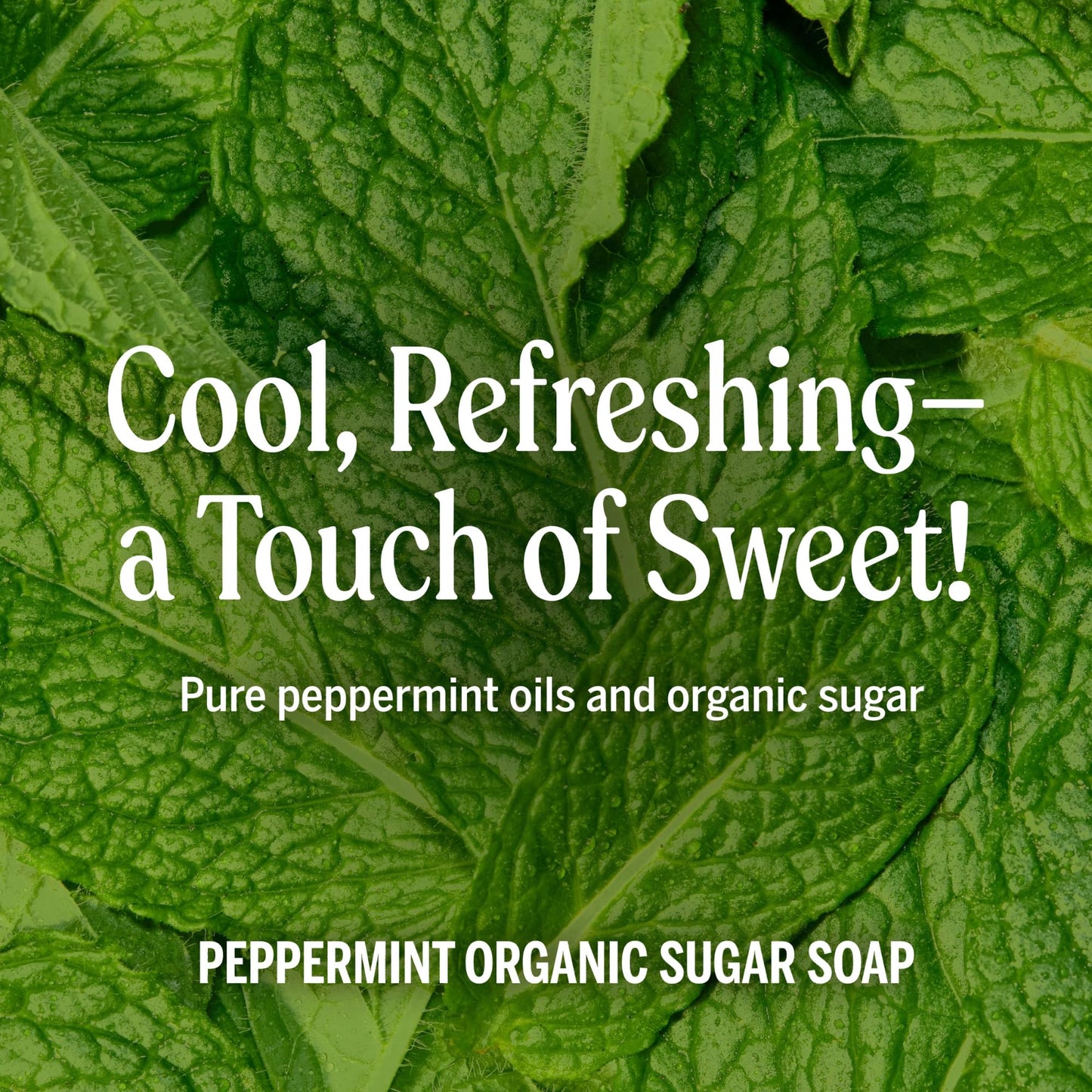 Dr. Bronner's - Organic Sugar Soap (Peppermint, 12 oz) - Made with Organic Oils, Sugar & Shikakai Powder, 4-in-1 Uses: Hands, Body, Face & Hair, Cleanses, Moisturizes & Nourishes, Vegan, Non-GMO