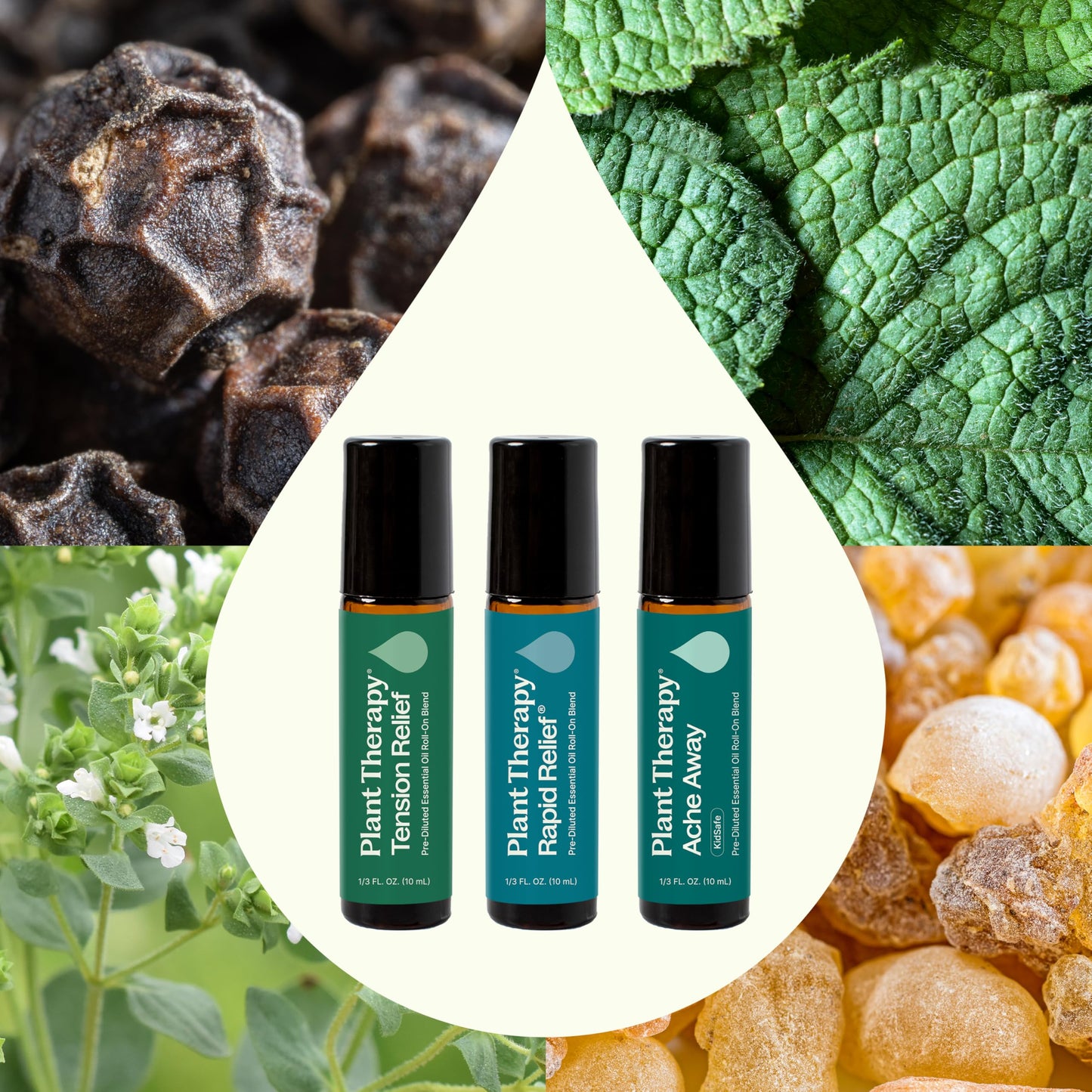 Plant Therapy Pain Support Essential Oil Roll On Blend Set, 10 mL (1/3 oz) Each of Ache Away, Rapid Relief & Tension Relief, Pure, Pre-Diluted, Essential Oil Blends