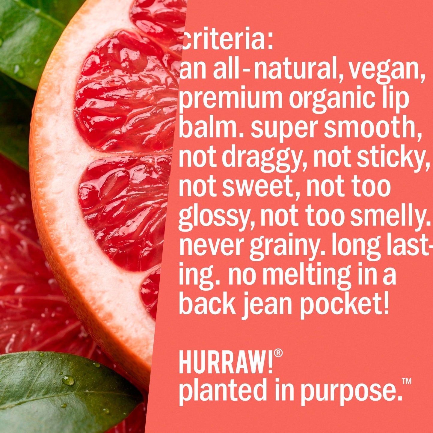 Hurraw! Grapefruit Lip Balm, 2 Pack: Organic, Certified Vegan, Cruelty and Gluten Free. Non-GMO, 100% Natural Ingredients. Bee, Shea, Soy and Palm Free. Made in USA