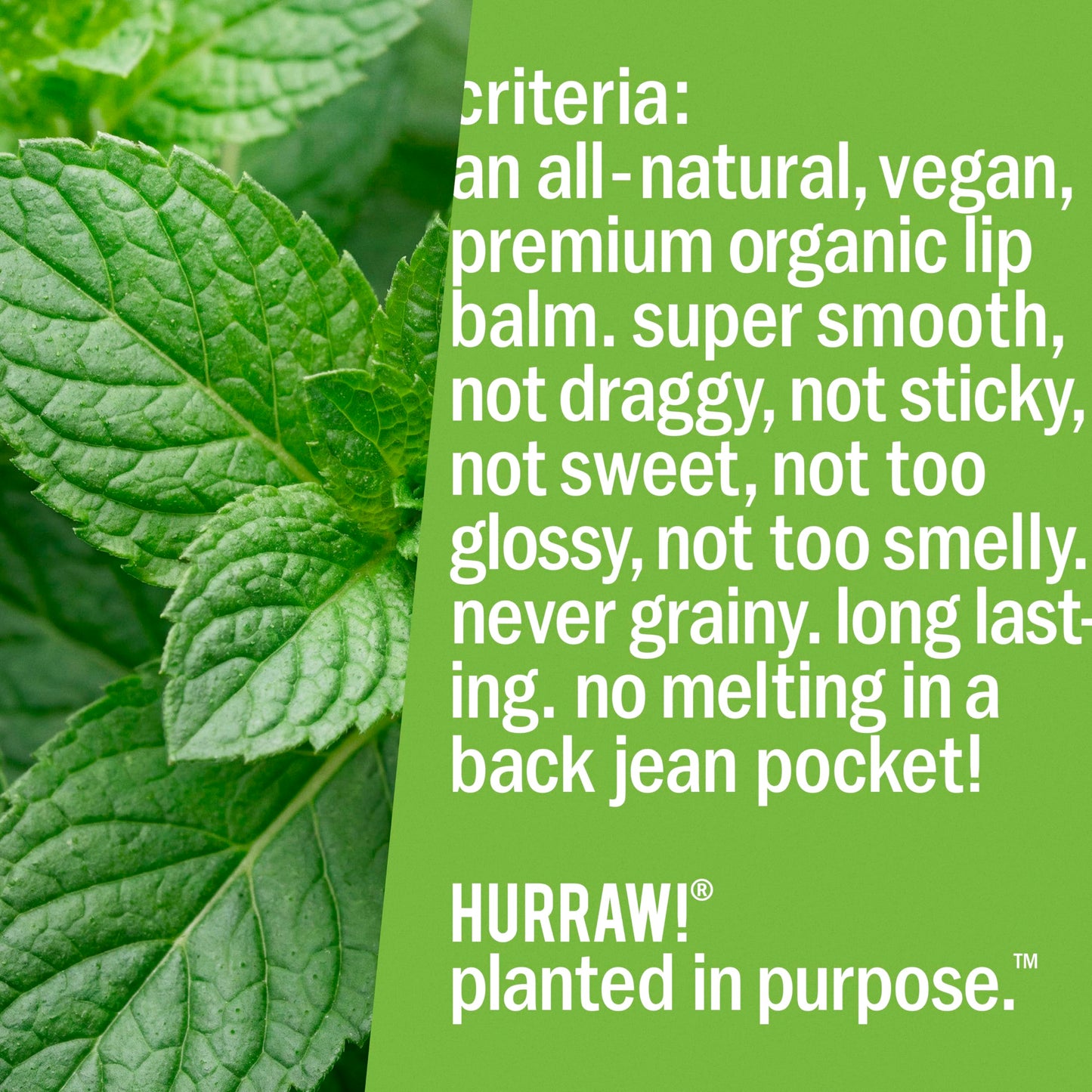 Hurraw! Mint Lip Balm, 3 Pack: Organic, Certified Vegan, Cruelty and Gluten Free. Non-GMO, 100% Natural Ingredients. Bee, Shea, Soy and Palm Free. Made in USA