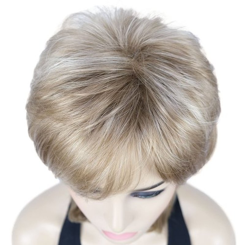 Lydell 16" Long Straight Wigs Soft Shaggy Layered Wigs Classic Cap Full Synthetic Hairpieces (H16D613 Blonde Highlights)