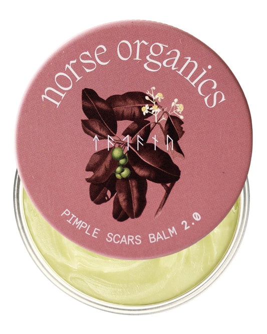 Norse Organics Pimple Scars Balm 2.0 | Botanical Body Balm with Arctic Herbs & Beeswax | Comfrey, Arnica & Sea Buckthorn | Restores & Smooths Skin | 1 oz