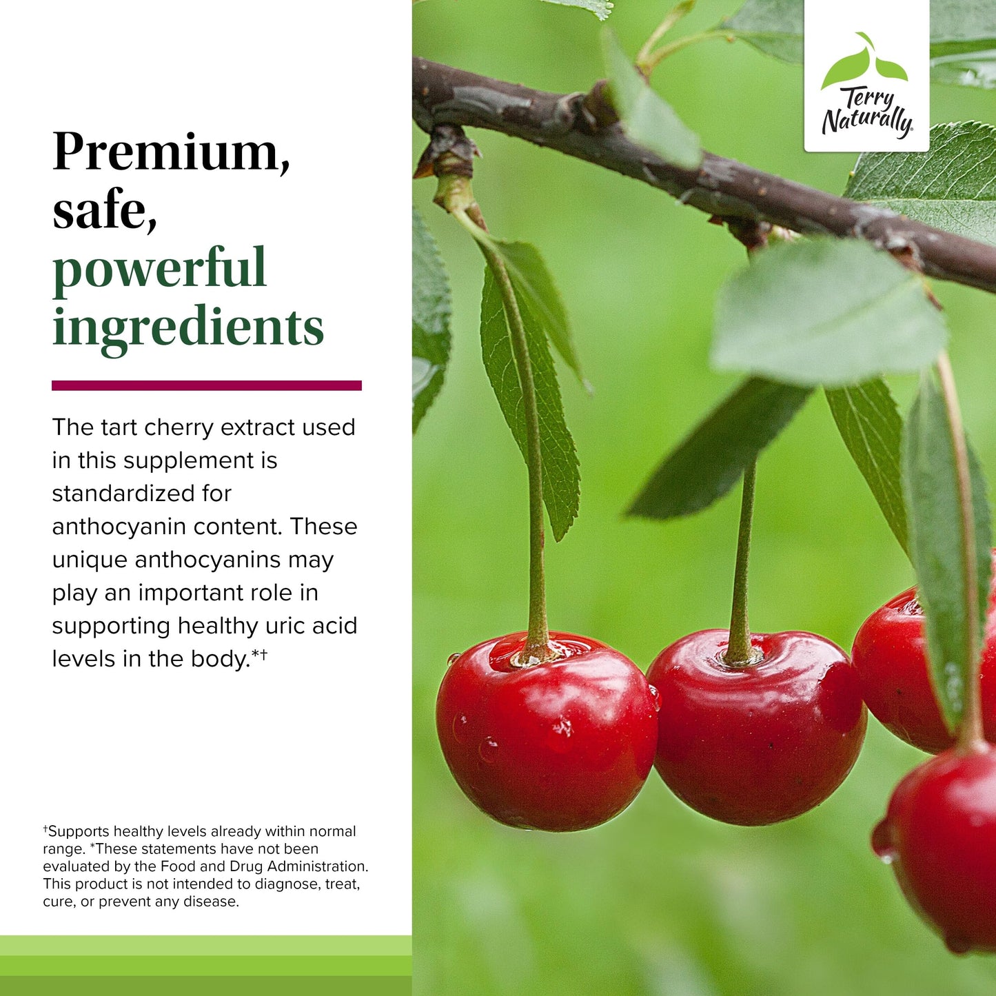 Terry Naturally EuroPharma Tart Cherry 120 Capsule
