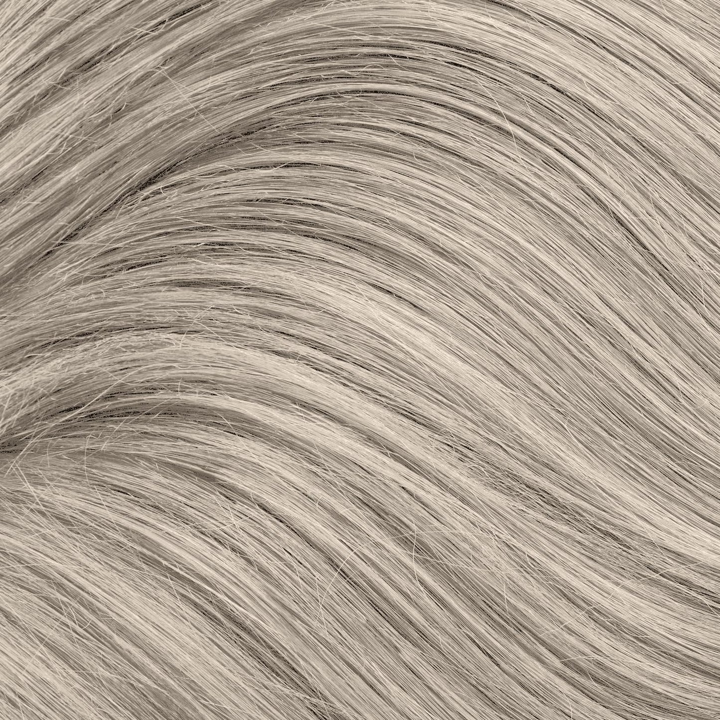 Ion Platinum Lace Creme Toner Platinum Lace
