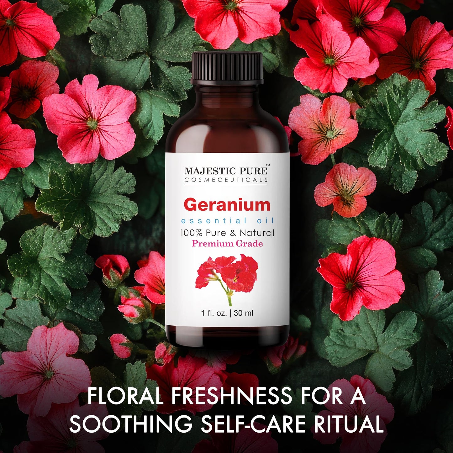 Majestic Pure Essential Oil with Glass Dropper - 100% Pure and Natural - Essential Oils for Diffuser, Aromatherapy, Soap and Candle Making, Geranium Essential Oil, Geranium Oil, 1 Fl Oz