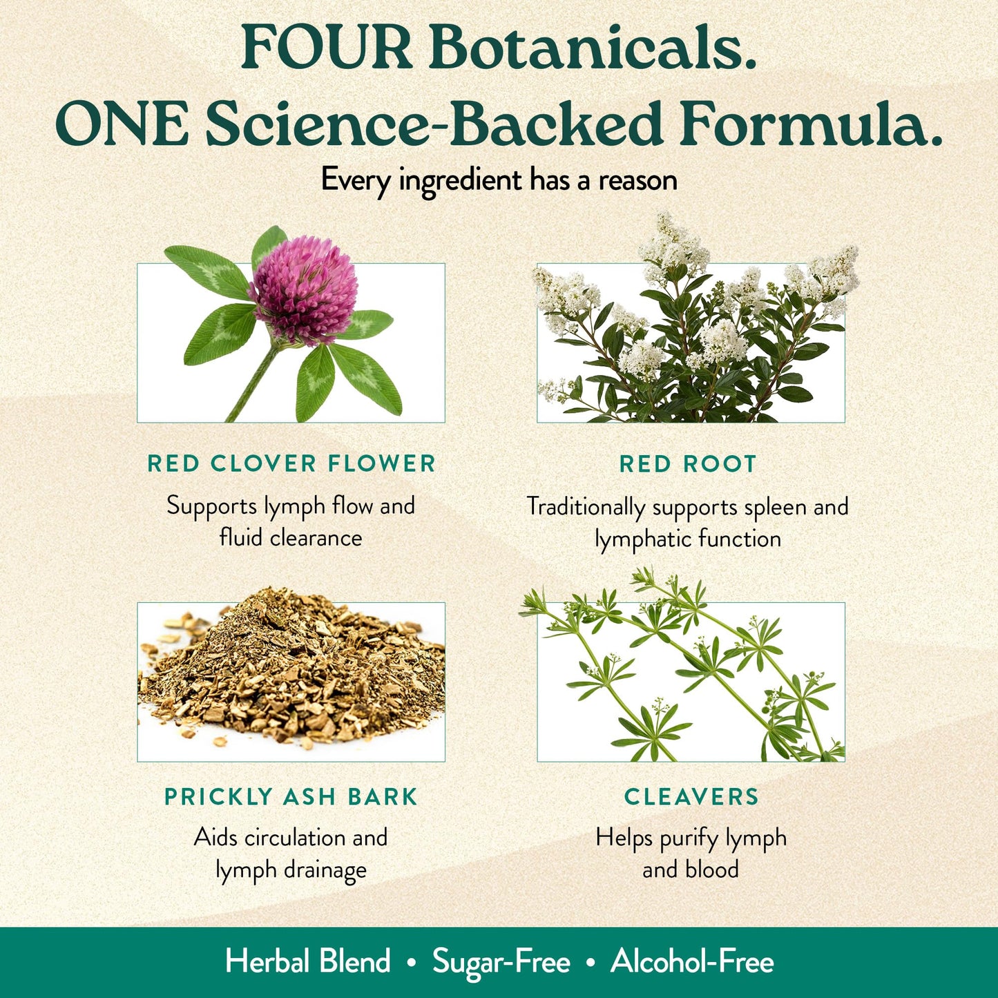 Nature's Sunshine Lymphatic Drainage Drops with Cleavers Extract - 60 Serv.