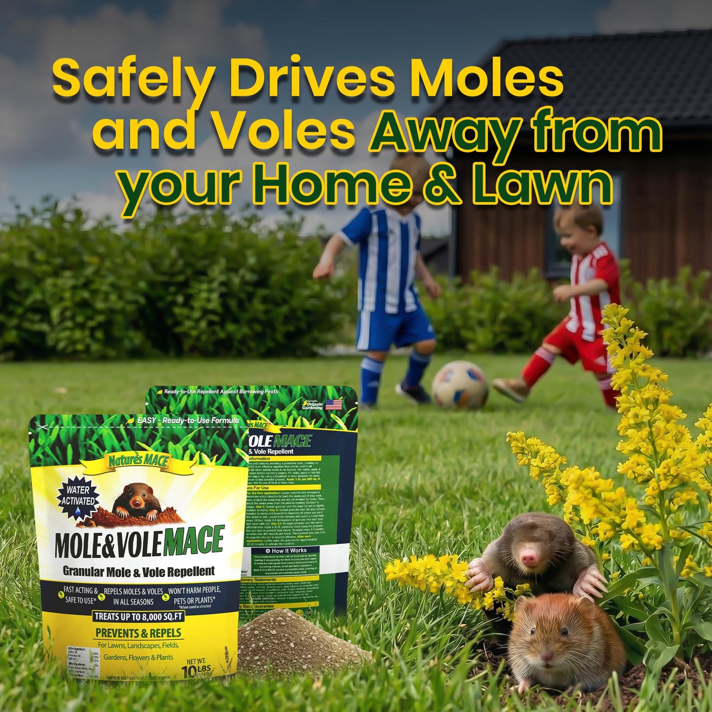 Nature's MACE Mole & Vole MACE – Yard & Garden Granules, Castor Oil Formula, Outdoor Use, Plant & Pet Safe, 160 Fl Oz (Pack of 1)