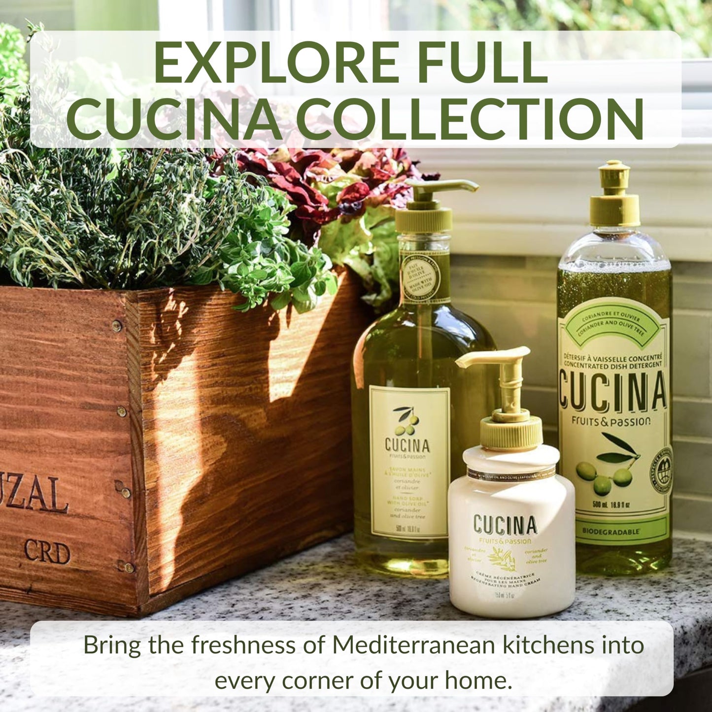 Cucina Fruits & Passion Hand Soap Refill – Coriander & Olive Tree – 1 Liter (33.8 fl oz) – Olive Oil Enriched Kitchen Hand Soap – Biodegradable Formula – Vegan – Made in Canada