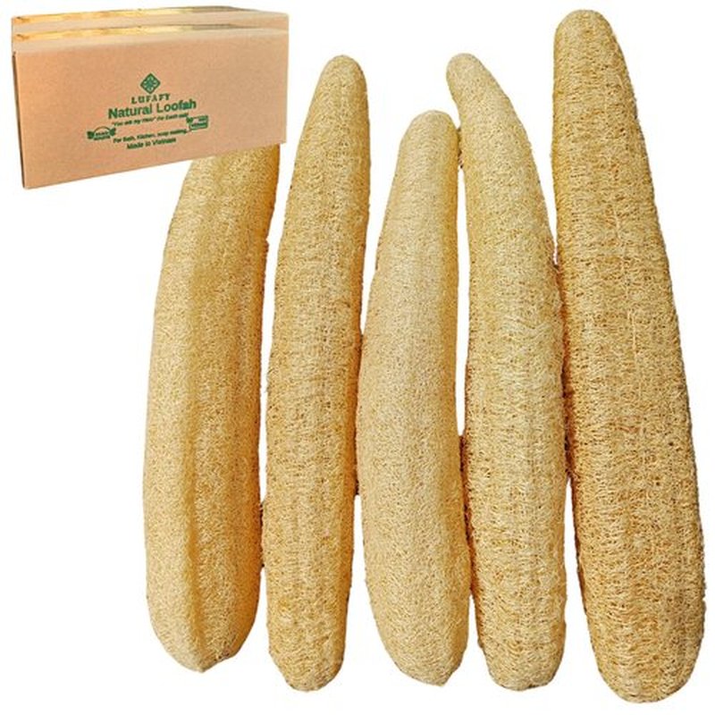 5 Pcs (18– 20 Inches) Shower Loofah Exfoliating Body Scrubber | Natural Loofah Sponge | Bath for Loofah for Men and Women | Pack of 5