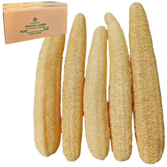 5 Pcs (14 – 16 Inches) Natural Loofah Sponge | Organic Loofah | Shower Loofah Exfoliating Body Scrubber | Bath for Loofah for Men and Women | (5 - Pack)