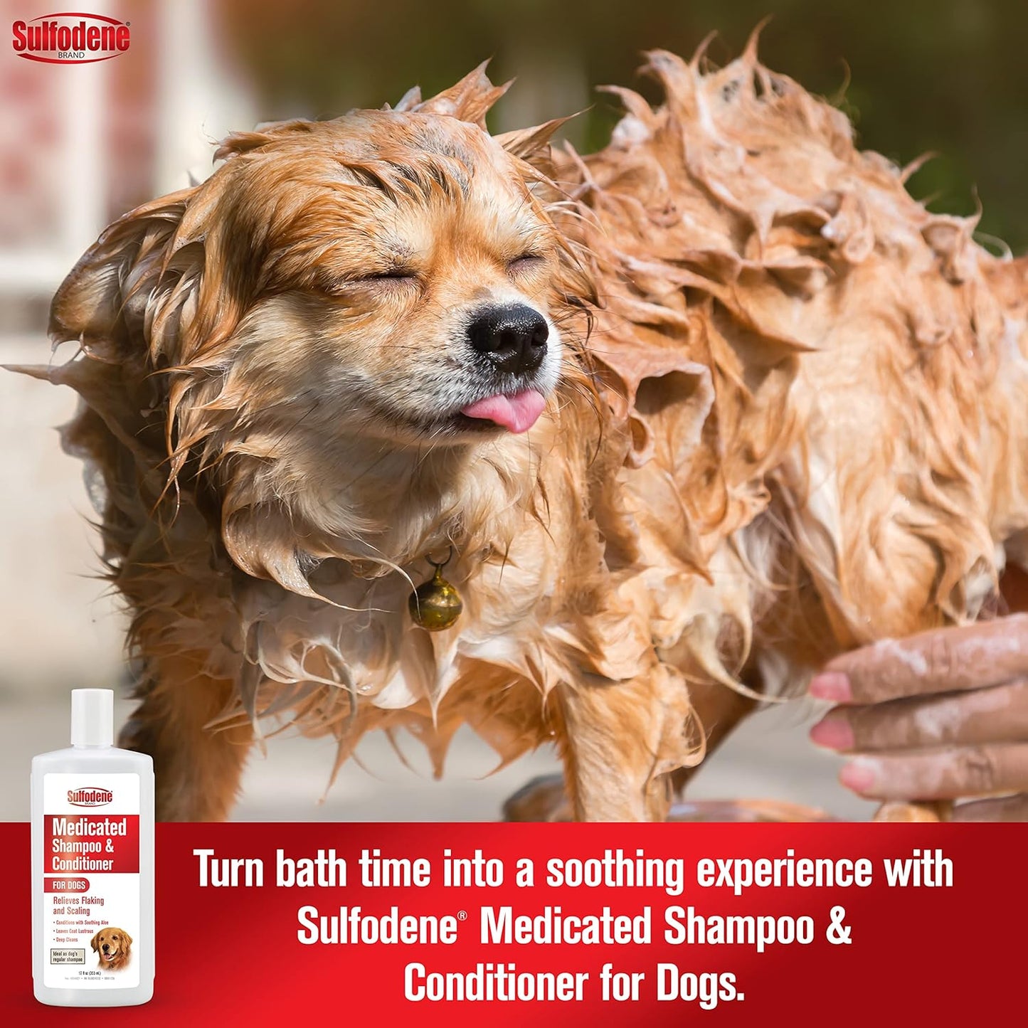 Sulfodene Medicated Dog Shampoo & Conditioner - 12oz | Soothes Skin & Reduces Itching