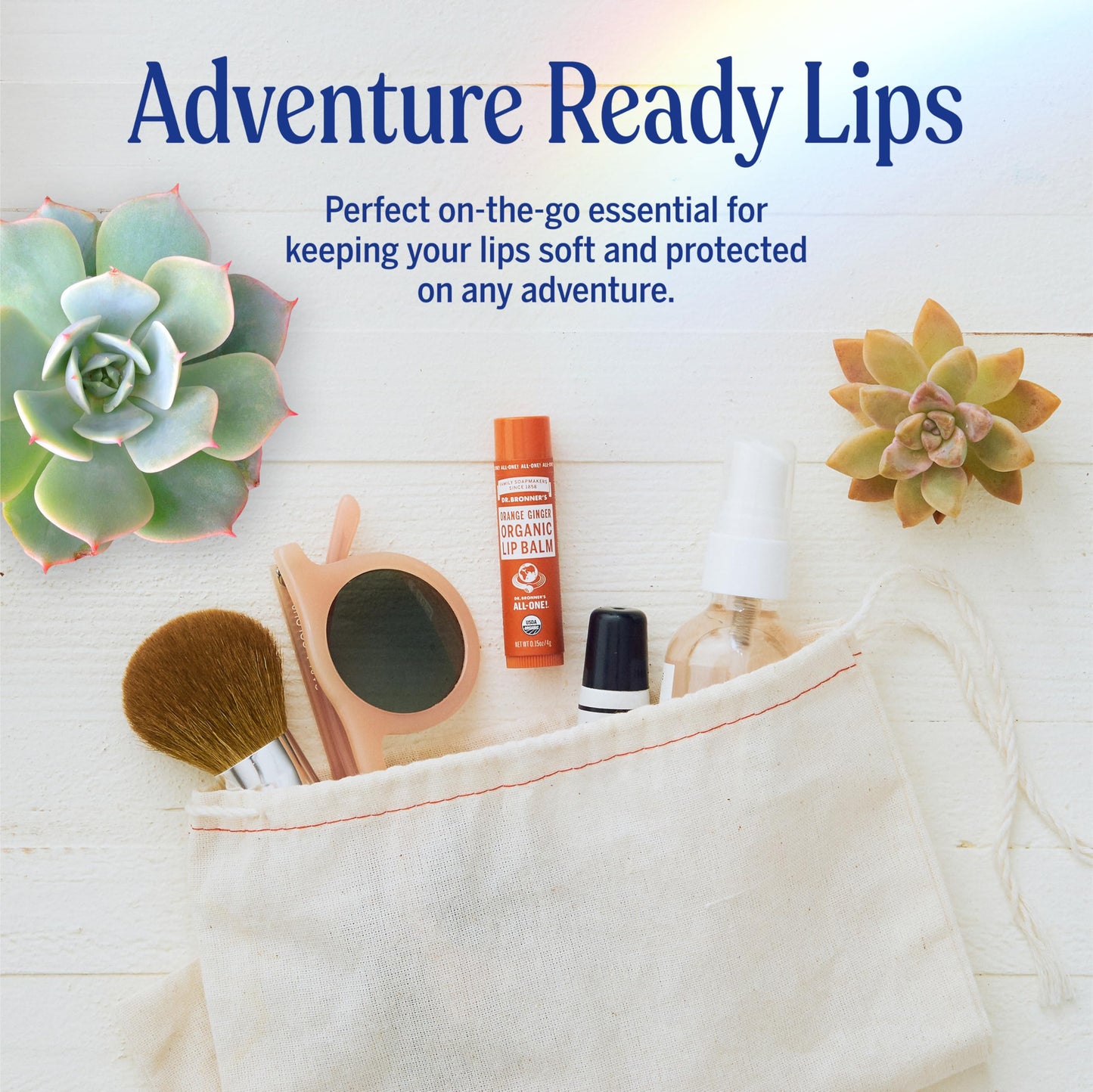 Dr. Bronner’s Organic Lip Balm 6-Pack (.15oz) Natural, Moisturizing, Petroleum-Free Lip Balm with Beeswax & Avocado Oil for Dry Lips, Men & Women - Orange Ginger