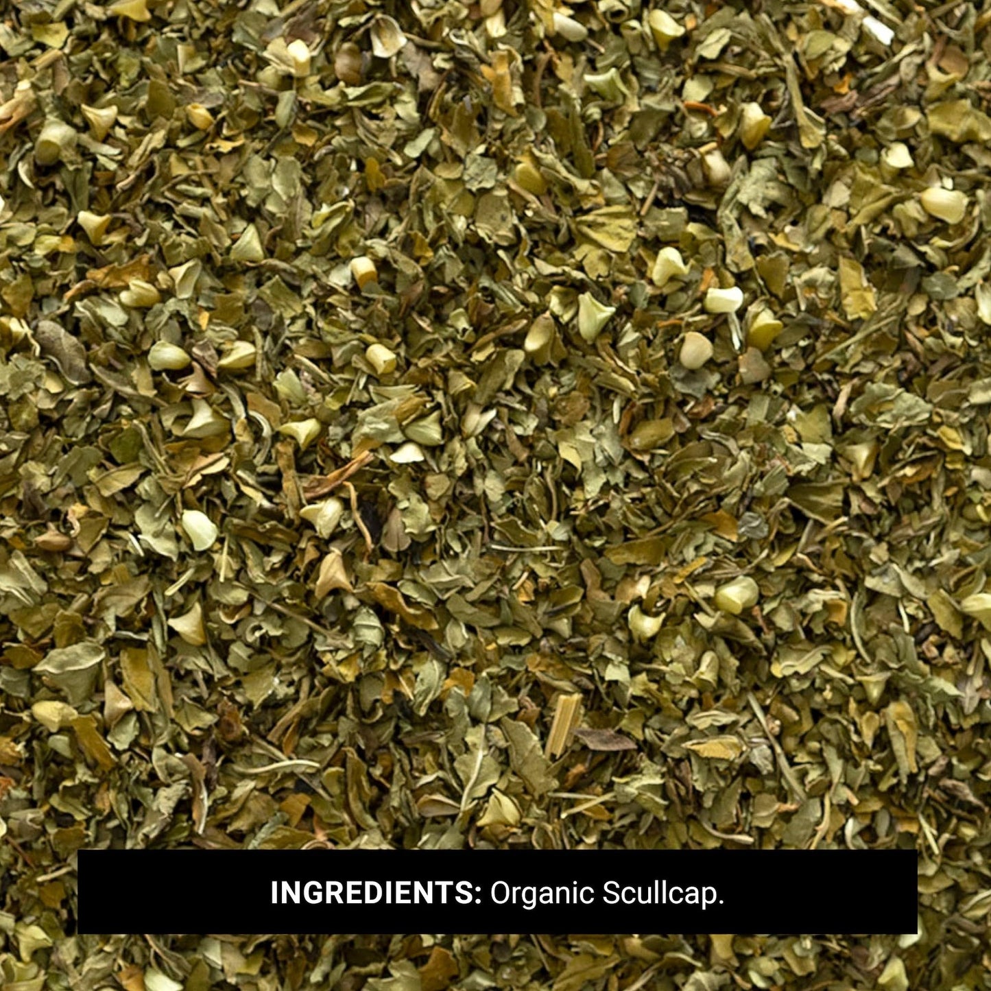Frontier Co-op Organic Scullcap Herb Cut & Sifted Certified Organic Herbal Supplement 1lb - Skullcap Herb for Tincture, Tea, Supplement