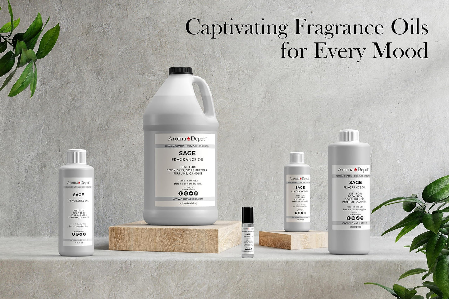 Aroma Depot Sage Type Perfume/Body Oil (7 Sizes) Our Interpretation, Premium Quality Uncut Fragrance Oil (1 Bottle 1/3 Roll On (10ml))
