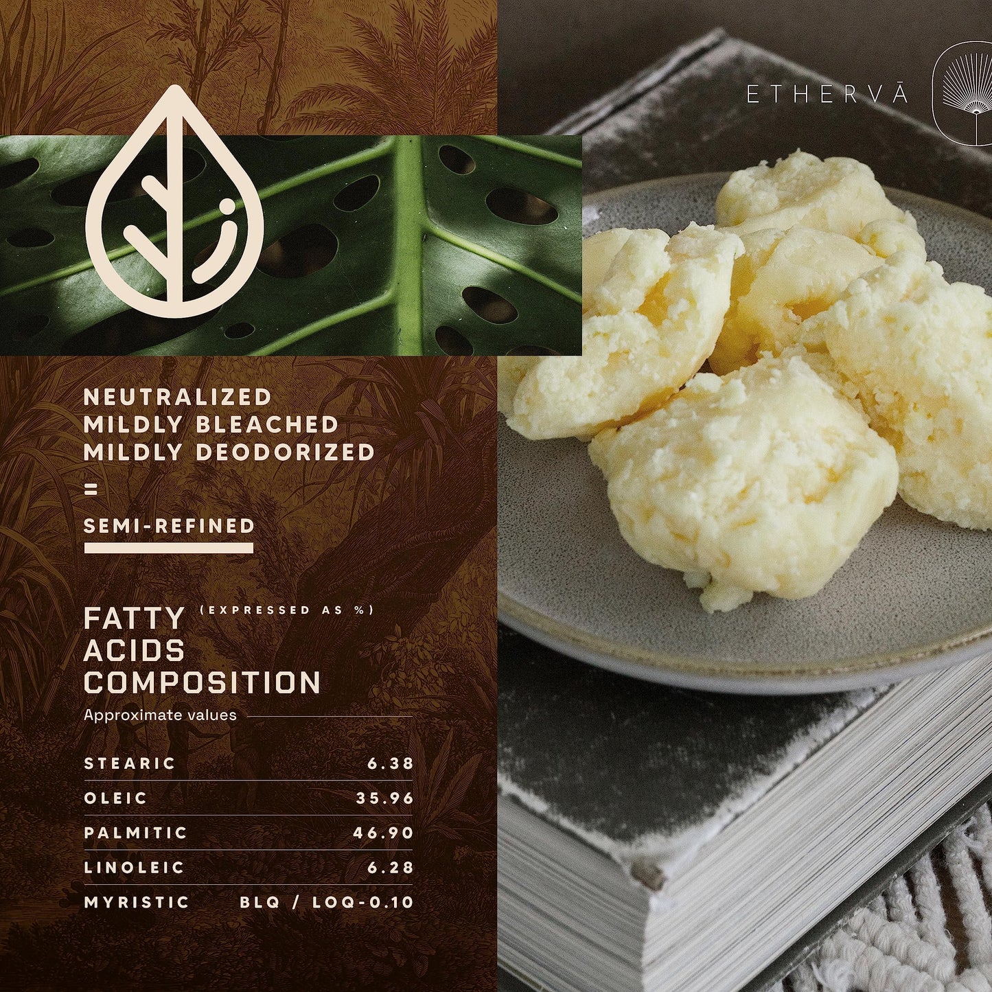 ETHERVA Avocado Butter | Semi-Refined | Soft Creamy | Off-White Color | Pleasant Scent | Small Batch Rural Coop | Pure | Lotions Creams | DIY Moisturizer for Skin, Body and Hair | 7.63 oz. / 1.10 lbs.