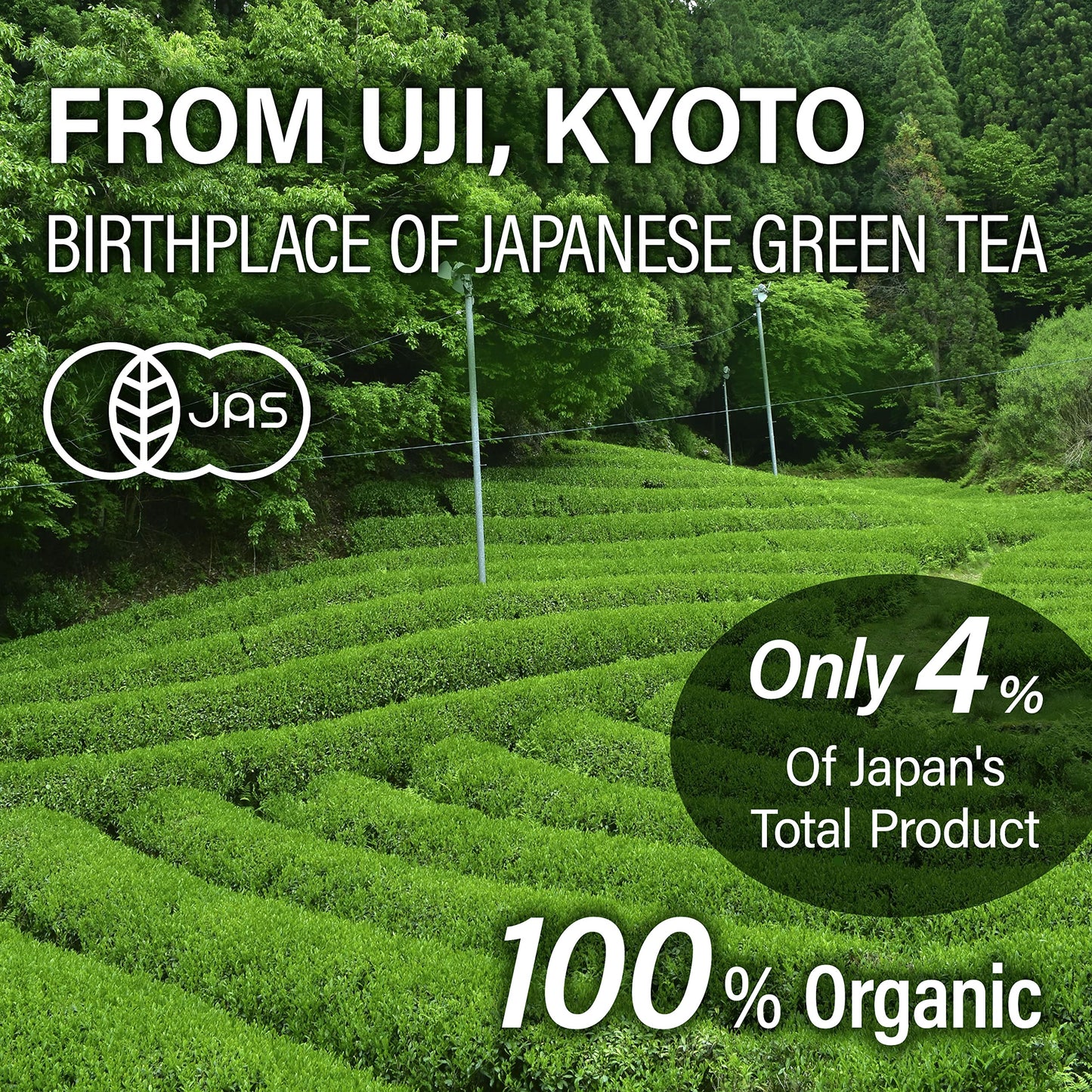 YAMASAN KYOTO UJI Sencha Green Tea Loose Leaf, JAS Certified Organic Japanese Tea from Uji, Kyoto, 80g Bag, Sencha Tea, Loose Leaf