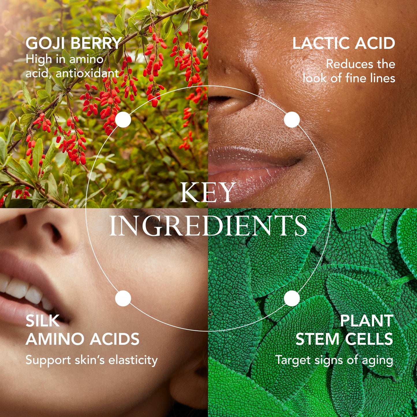 KAT BURKI Goji Refining Essence with Goji Berry, 5% Lactic Acid & Silk Amino Acids, Hydrating & Skin-Perfecting Facial Essence for Even Tone, 4 Fl Oz